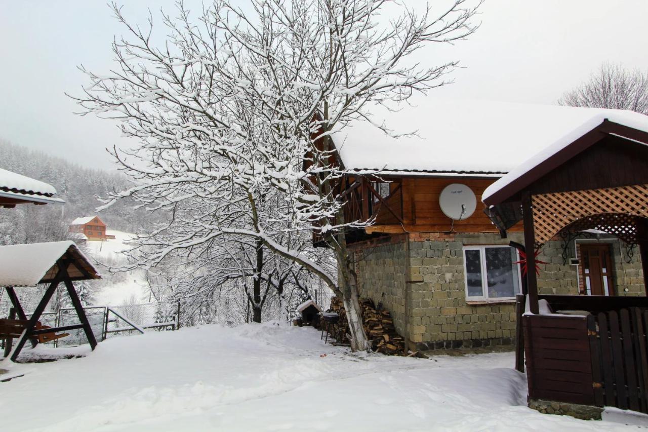 Apartament Багрівчанка Jaremcze Zewnętrze zdjęcie
