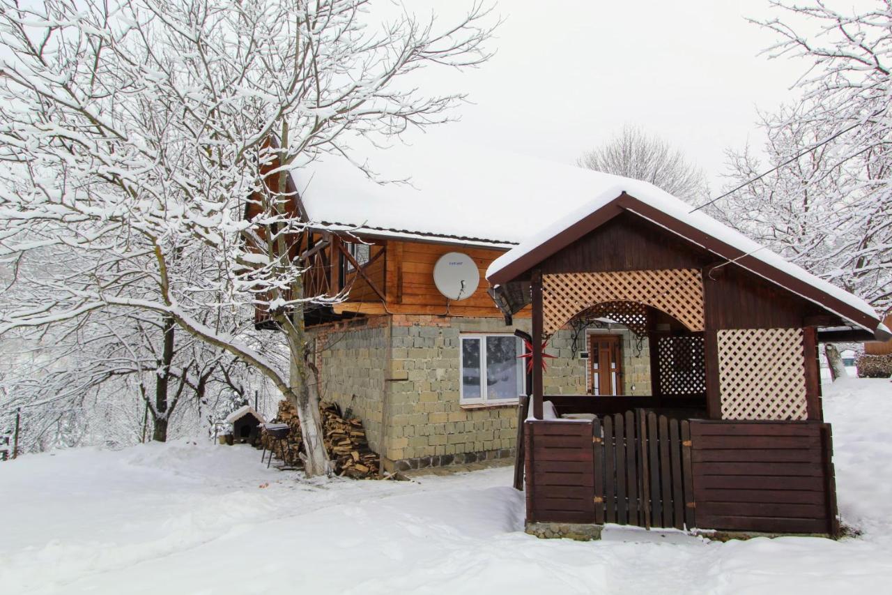 Apartament Багрівчанка Jaremcze Zewnętrze zdjęcie