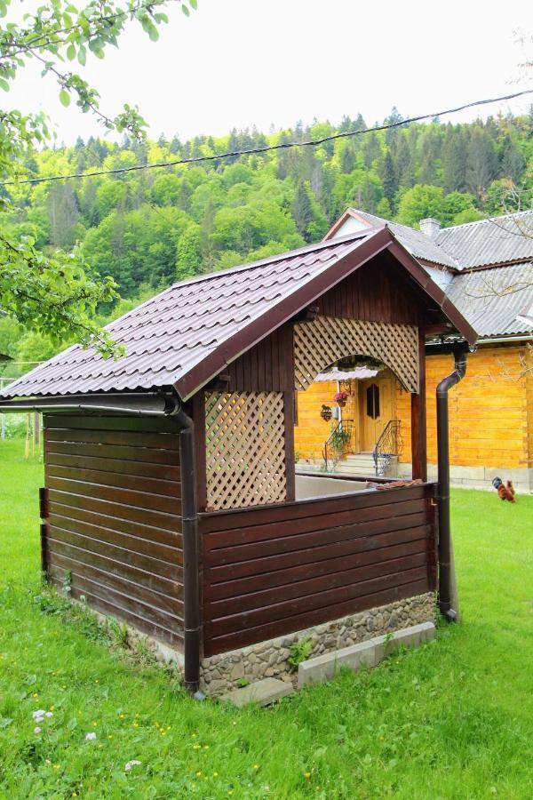 Apartament Багрівчанка Jaremcze Zewnętrze zdjęcie