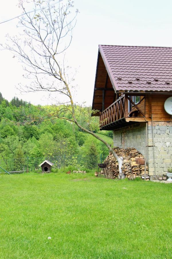 Apartament Багрівчанка Jaremcze Zewnętrze zdjęcie