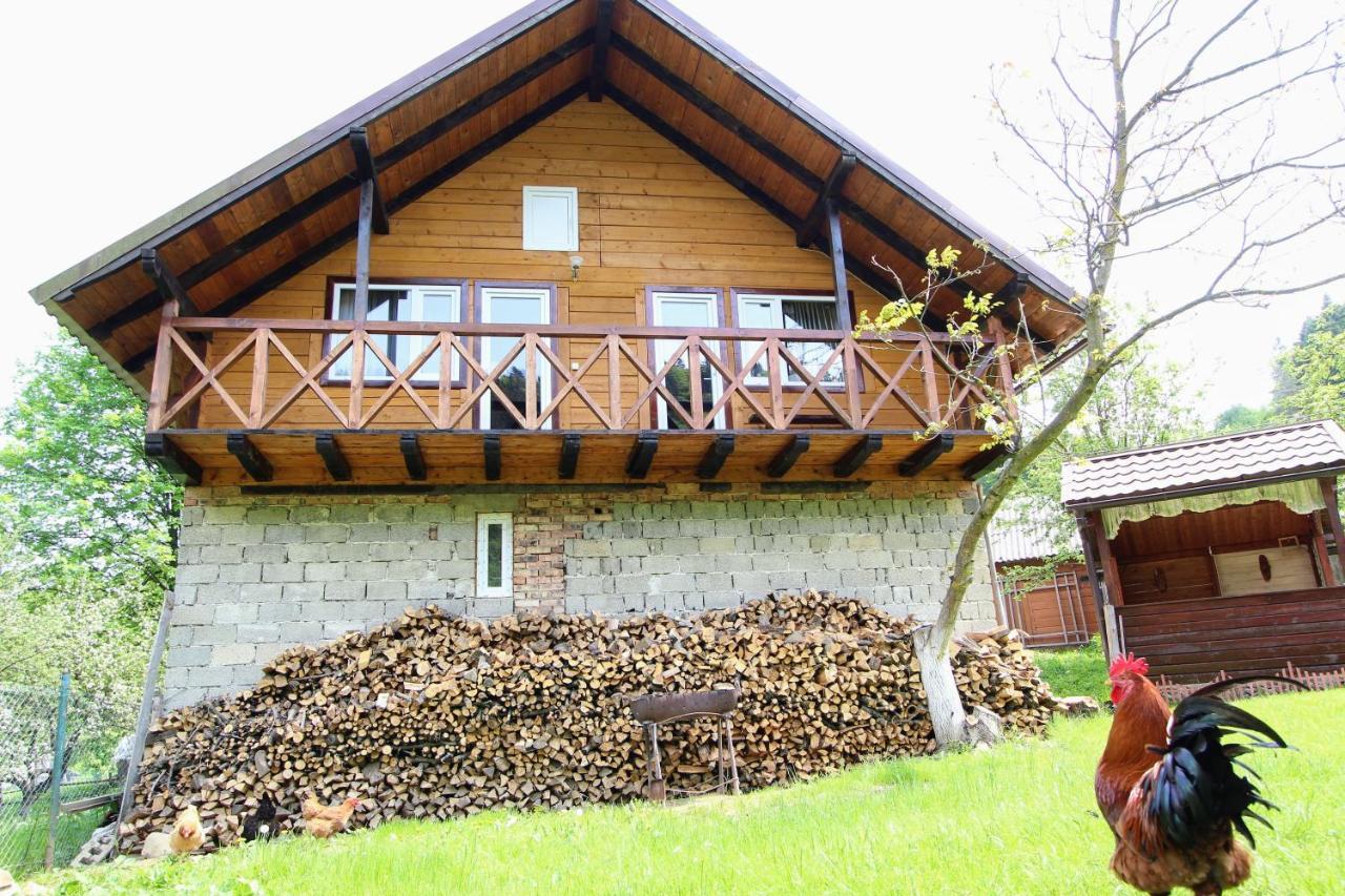 Apartament Багрівчанка Jaremcze Zewnętrze zdjęcie