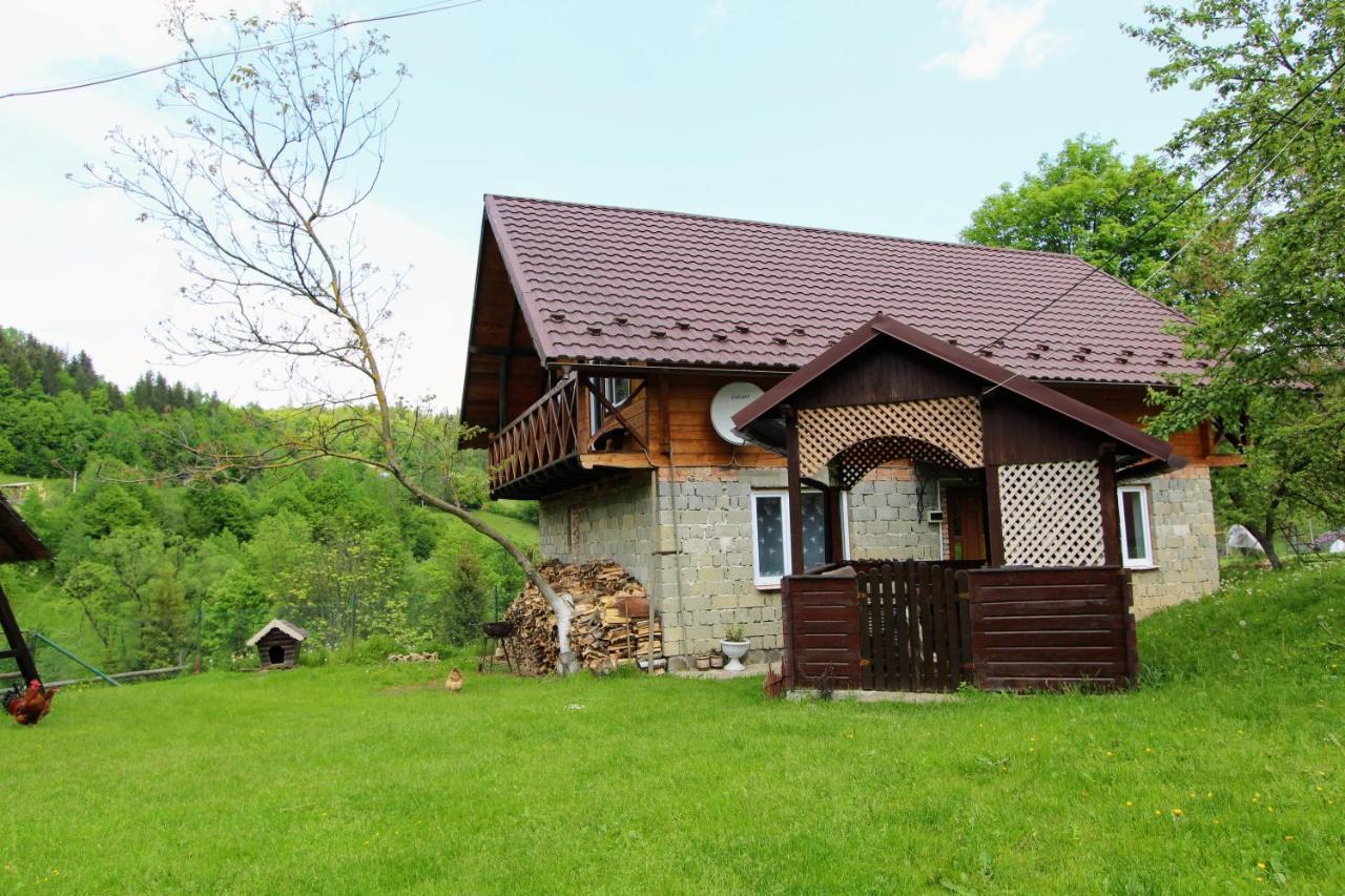Apartament Багрівчанка Jaremcze Zewnętrze zdjęcie